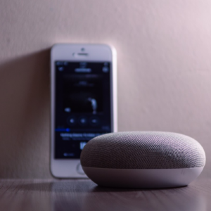 Smart Voice Assistants